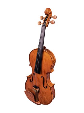 Hertz VG-03 Violin_Angled