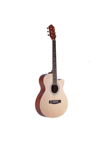 Hertz HZA 4010 Acoustic Guitar - Natural