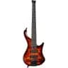 Electric guitar