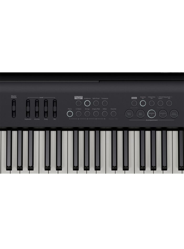 Roland FP-E50 Digital Piano_panel_left