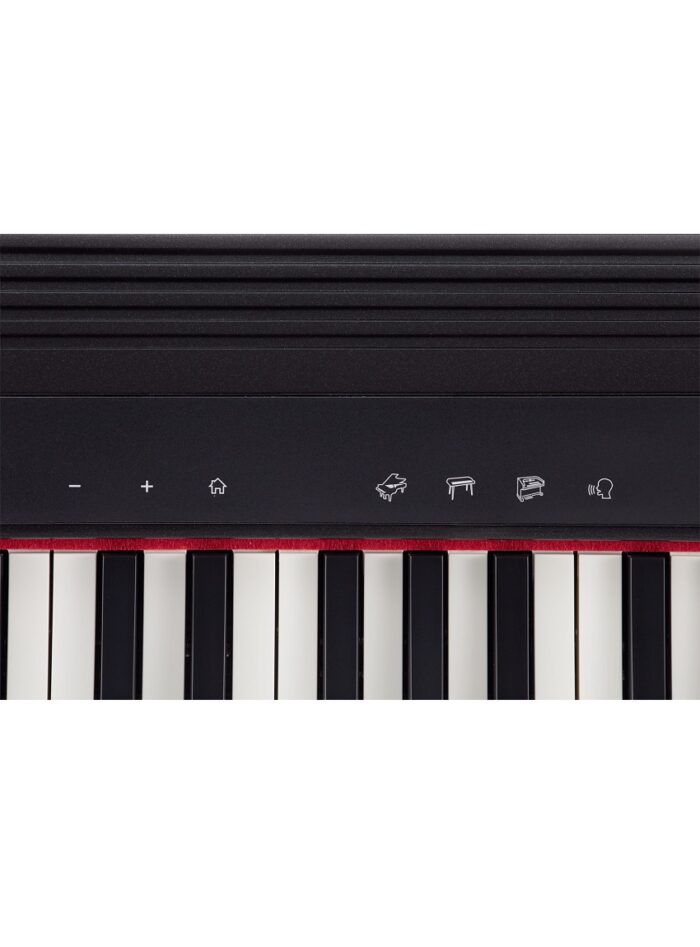 Roland GO:PIANO 61-key Portable Piano_front_panel_2