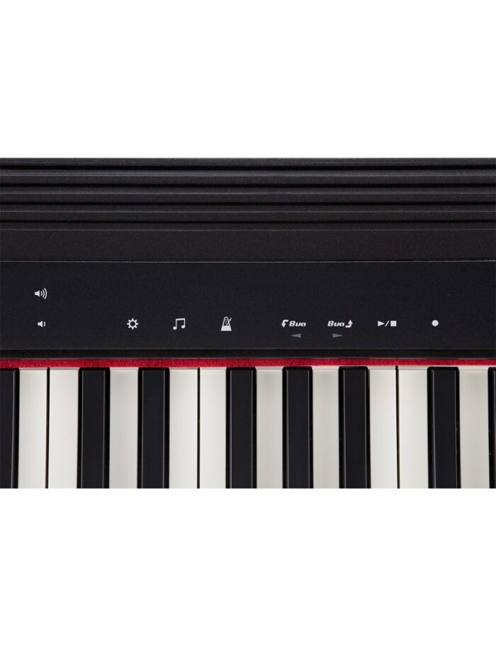 Roland GO:PIANO 61-key Portable Piano_front_panel_3