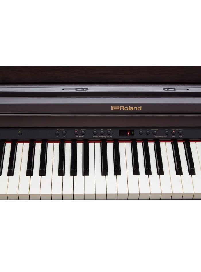 Roland RP-501R CRL Digital Piano - Contemporary Rosewood_panel_gal