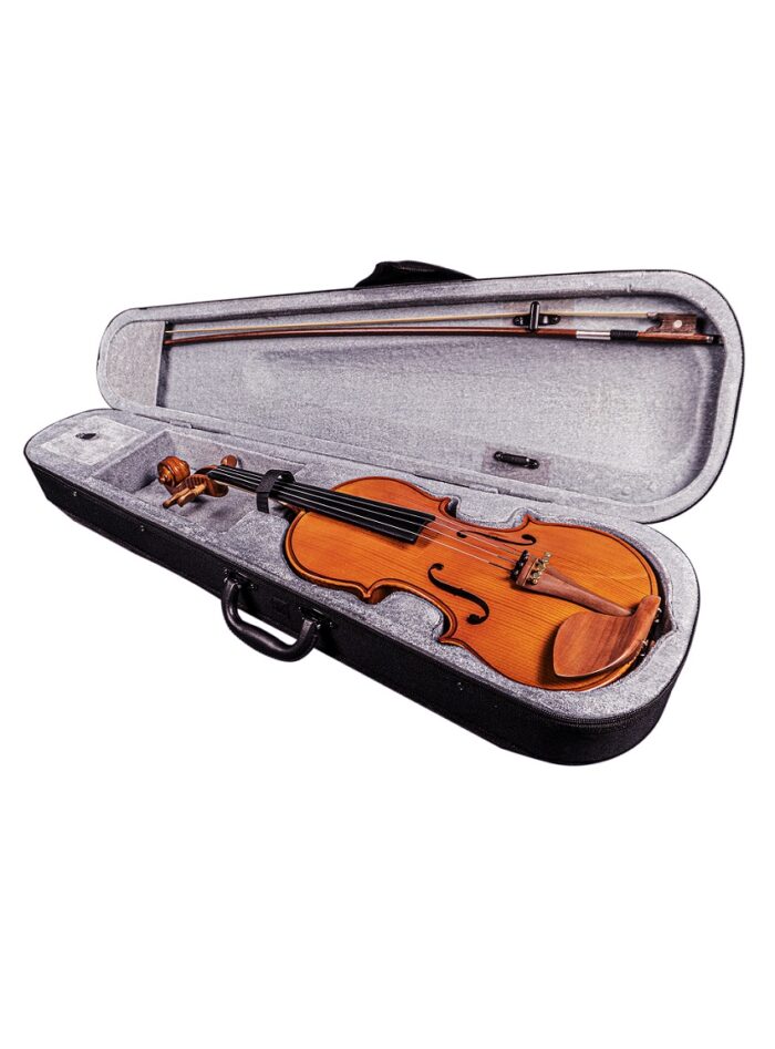 Hertz VG-03 Violin_In case