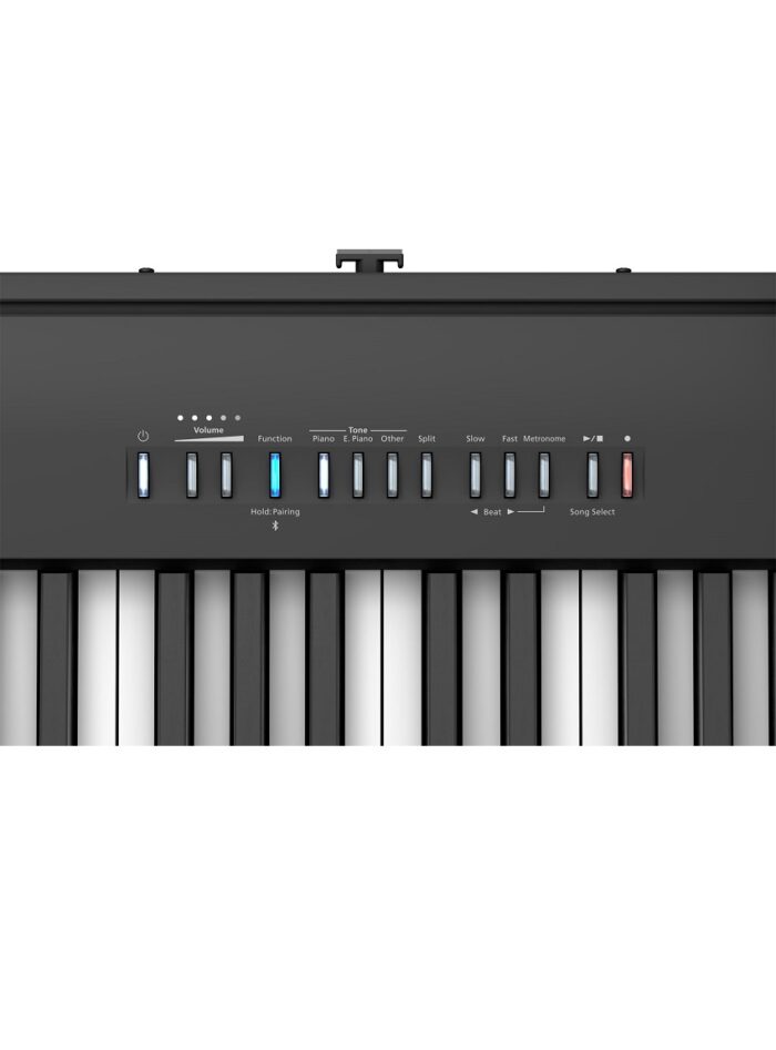 Roland FP-30X Digital Piano with Speakers - Black_panel_gal