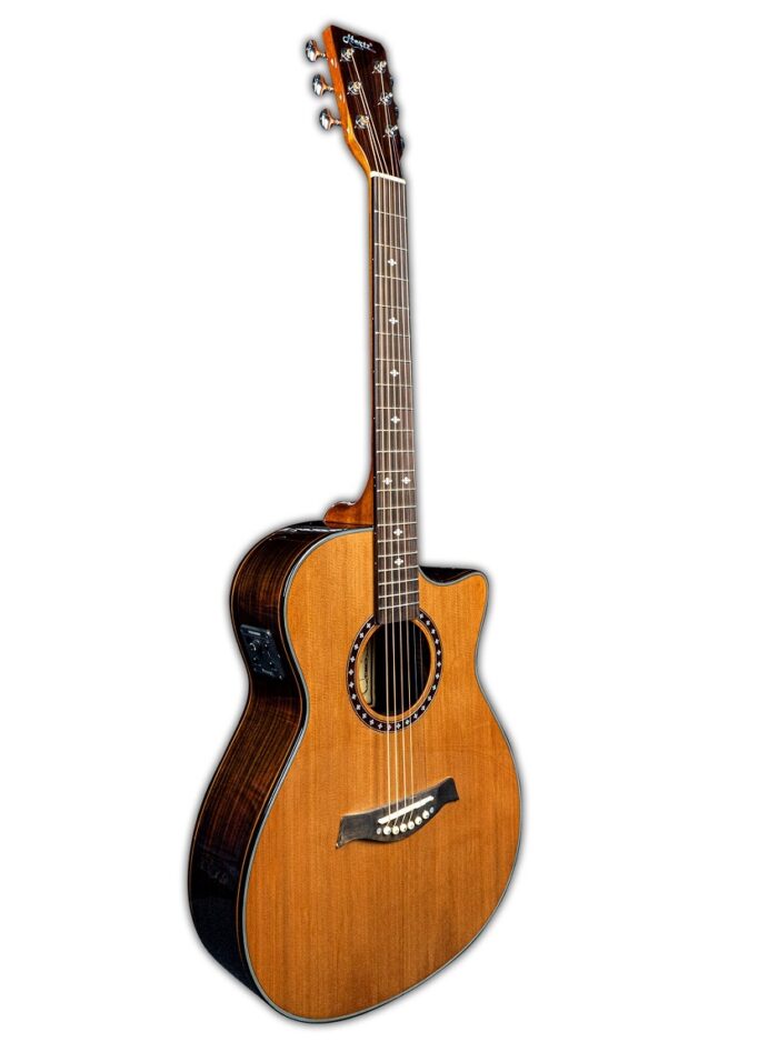 Hertz HZA Premium-L Acoustic Guitar_Angled