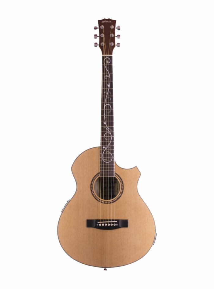 Hertz HZA4001ET Semi-Acoustic Guitar