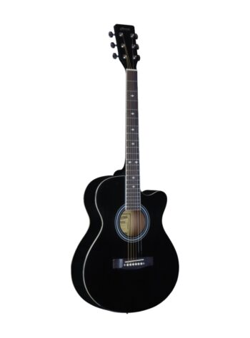 Hertz HZA4800 Acoustic Guitar - Black