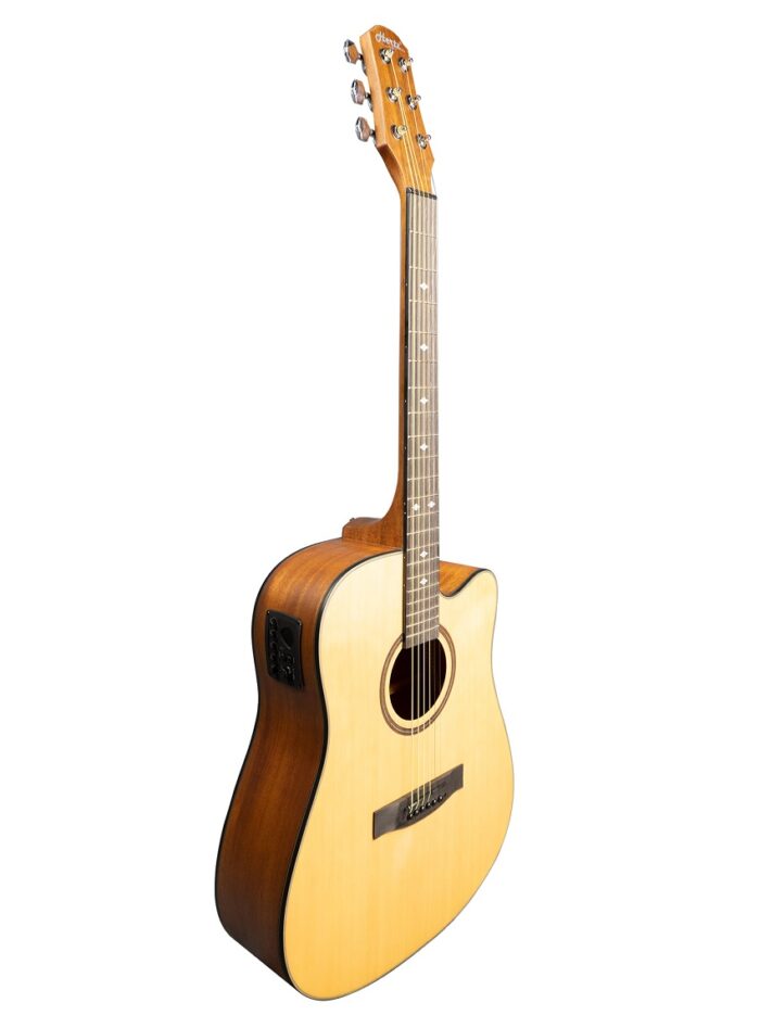 Hertz HZA9800 Acoustic Guitar - Natural_Angled