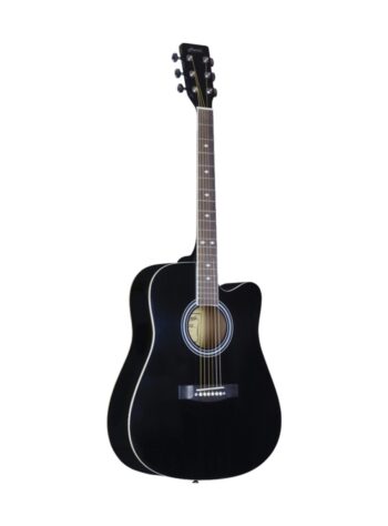 Hertz HZA4900 Acoustic Guitar - Black