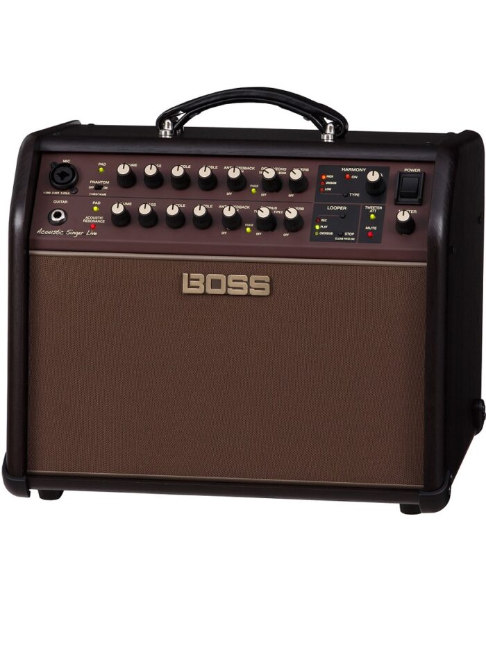 Boss ACS-LIVE Acoustic Amplifier_angled