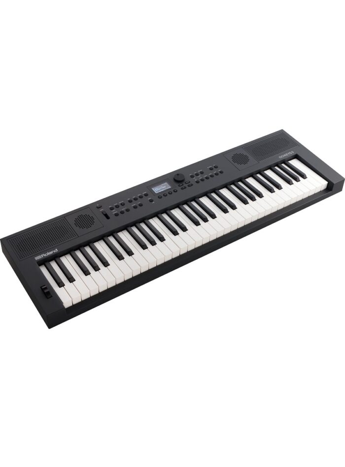 Roland GO:KEYS 5 Keyboard - Graphite_angle_gal