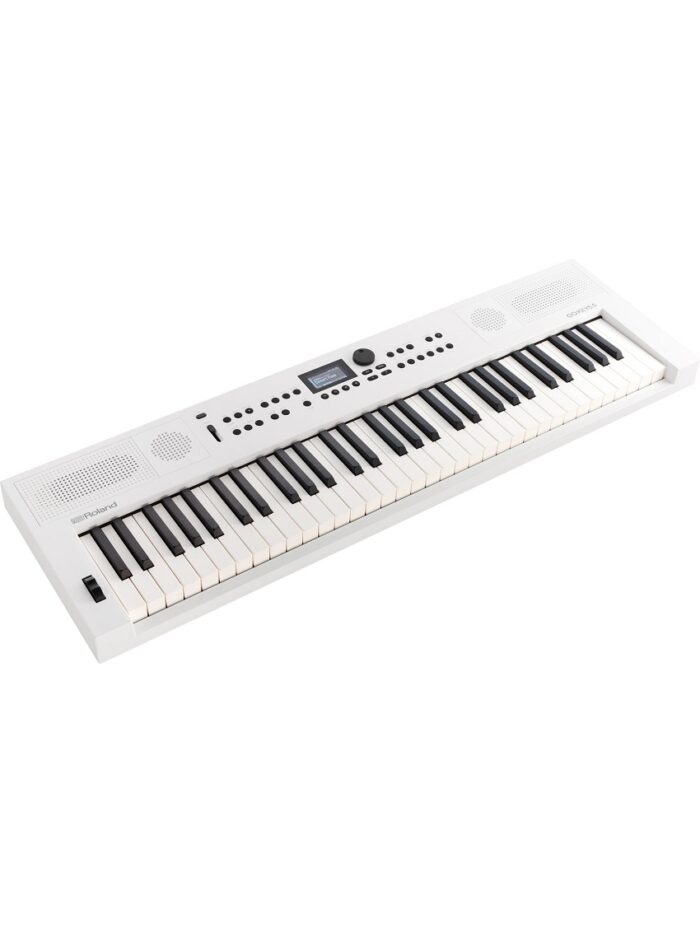 Roland GO:KEYS 5 Keyboard - White_angle_gal